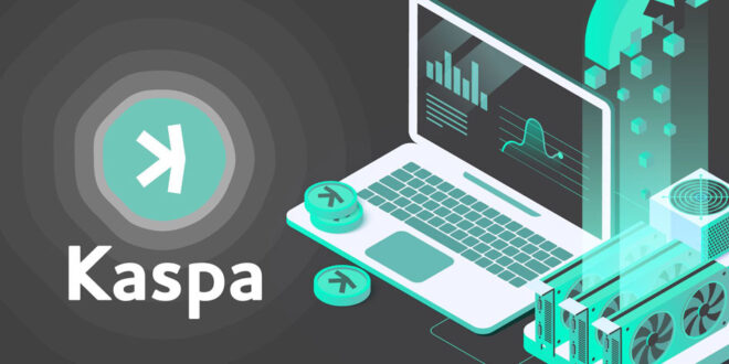 ארנק כספא cli